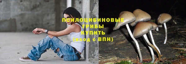 прущая мука Беломорск
