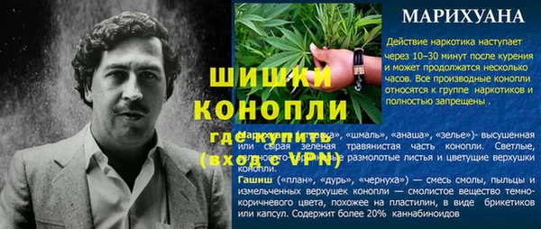 мяу мяу мука Белокуриха