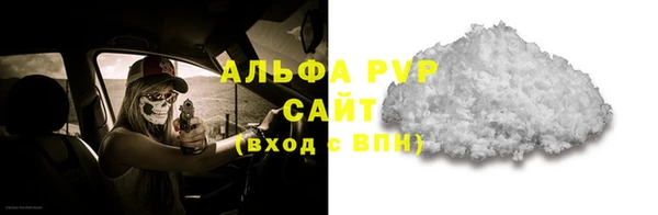 мяу мяу мука Белокуриха