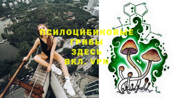 мяу мяу мука Белокуриха