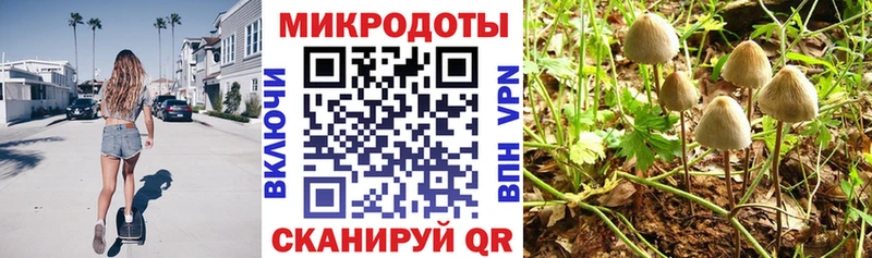 Псилоцибиновые грибы Psilocybine cubensis продажа наркотиков Новотитаровская